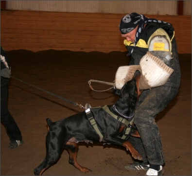 Training in Estonia 11/2007